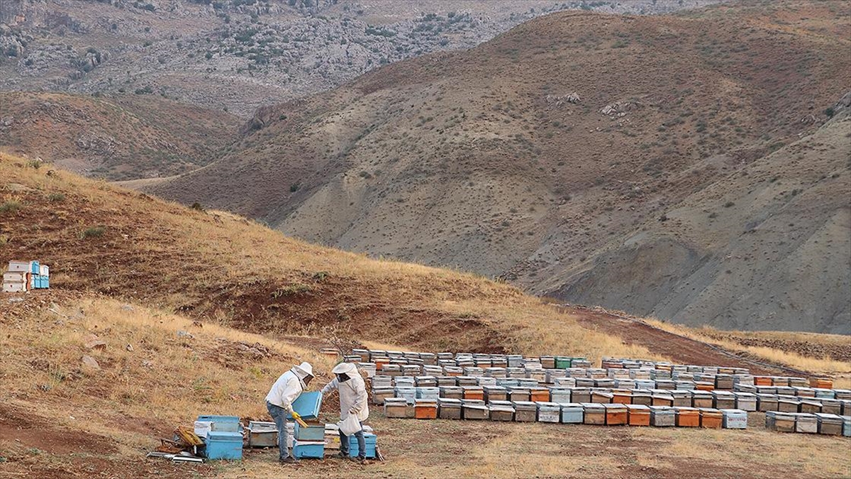 Siirt'te huzura kavuşan Herekol Dağı eteklerindeki 2047 rakımlı Çemikari Yaylası'nda