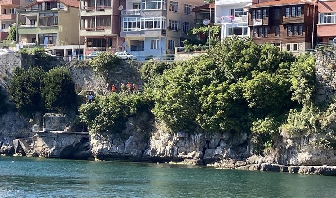 Bartın'da Amasra Kalesi'ndeki taşları yerinden oynatarak düşüren ağaçların köklerine yönelik