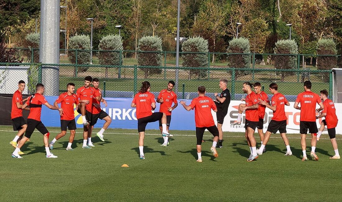 A Milli Futbol Takımı, UEFA 2024 Avrupa Şampiyonası Elemeleri D