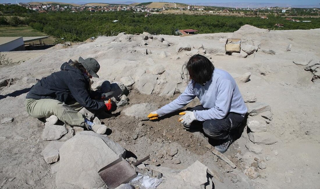 UNESCO Dünya Mirası Listesi'nde yer alan Malatya'daki Arslantepe Höyüğü'nde yürütülen