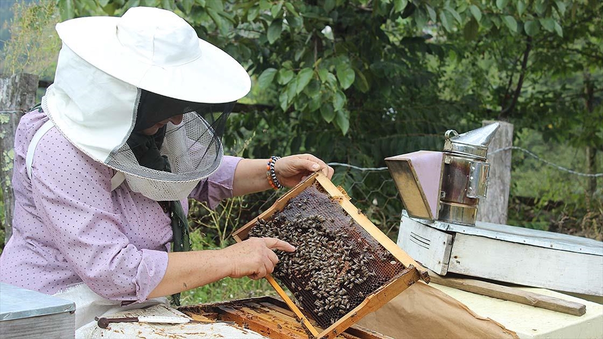 Çocuklarını okutmak için TEMA Vakfı'nın desteğiyle 24 yıl önce arıcılığa