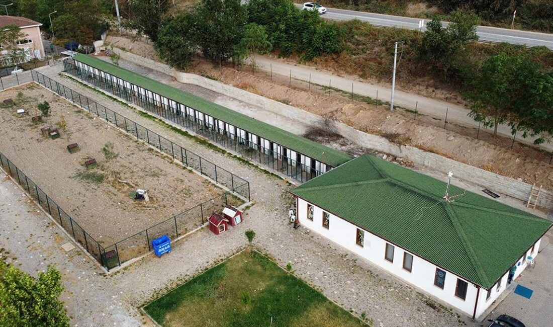 Bilecik'in Osmaneli ilçesinde kurulan Hayvan Hastanesi ve Sokak Hayvanları Rehabilitasyon