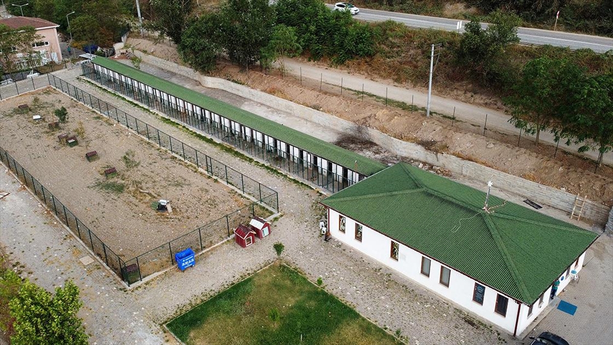 Bilecik'in Osmaneli ilçesinde kurulan Hayvan Hastanesi ve Sokak Hayvanları Rehabilitasyon