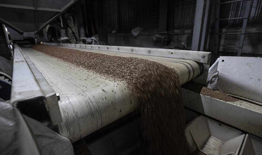 Birleşmiş Milletler (BM), Karadeniz Tahıl Girişimi kapsamında varılacak yeni uzlaşmanın