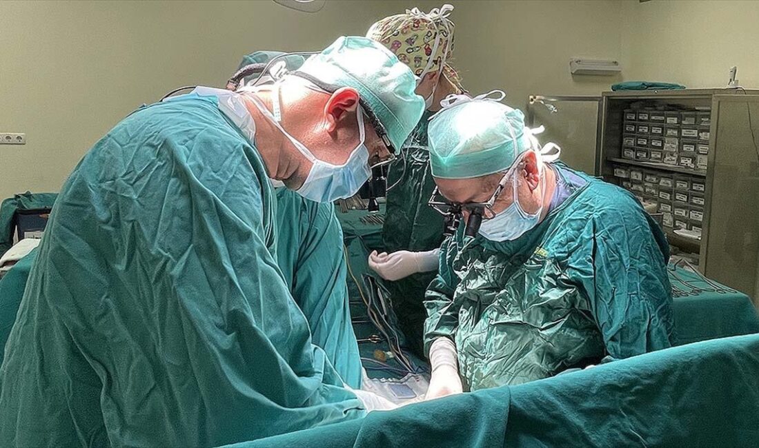 ABD'de görevli Türk bilim insanı Prof. Dr. Sönmez ve Prof.