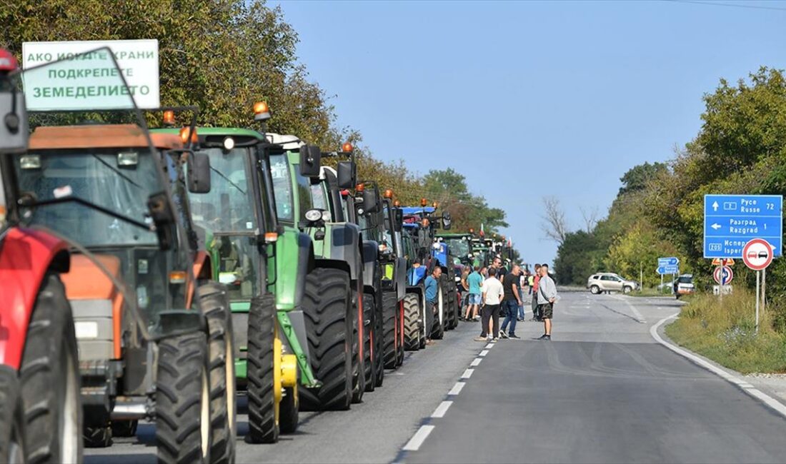 Bulgaristan’ın Ukrayna’dan ayçiçeği, buğday, mısır ve kolza tohumu ithalatı yasağının