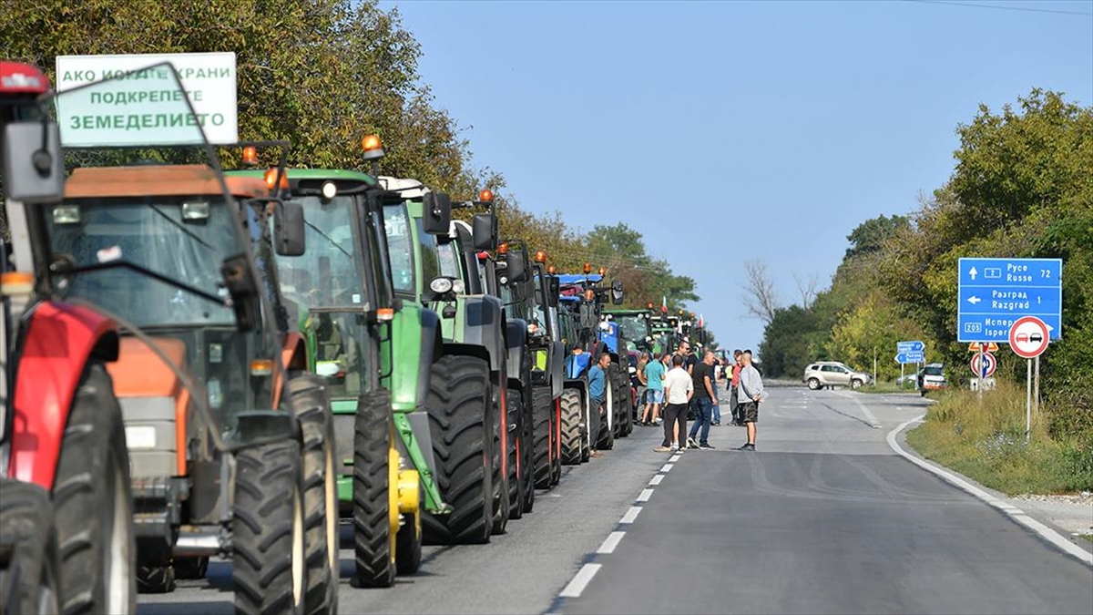 Bulgaristan’ın Ukrayna’dan ayçiçeği, buğday, mısır ve kolza tohumu ithalatı yasağının
