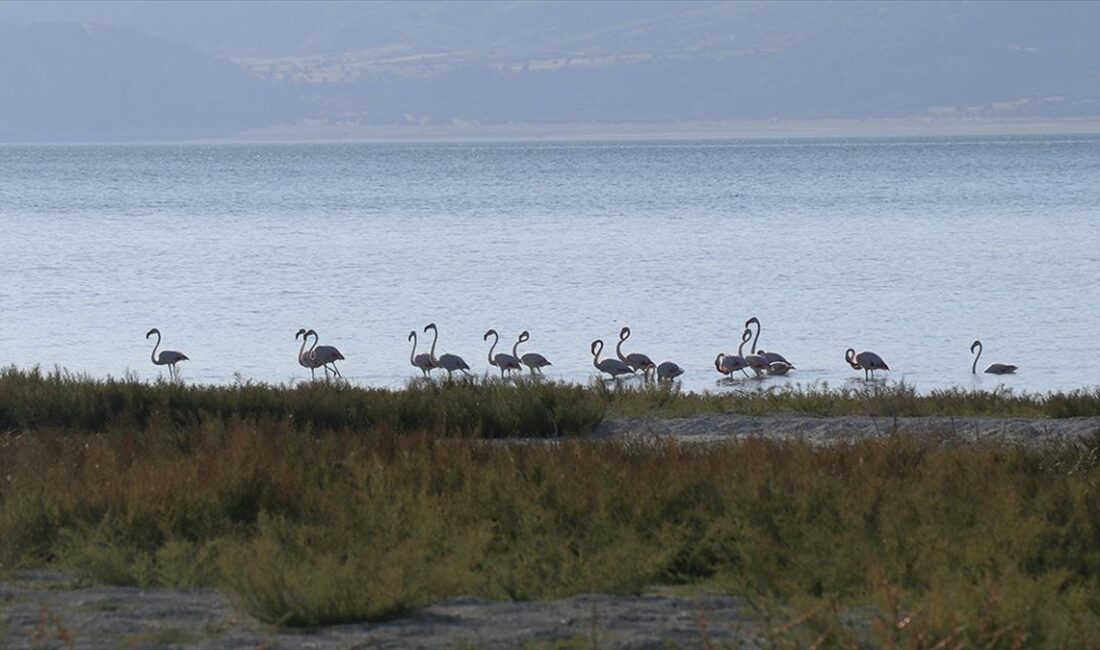 Türkiye'de göçmen kuşların uğrak noktalarından biri olan ve Ramsar Uluslararası