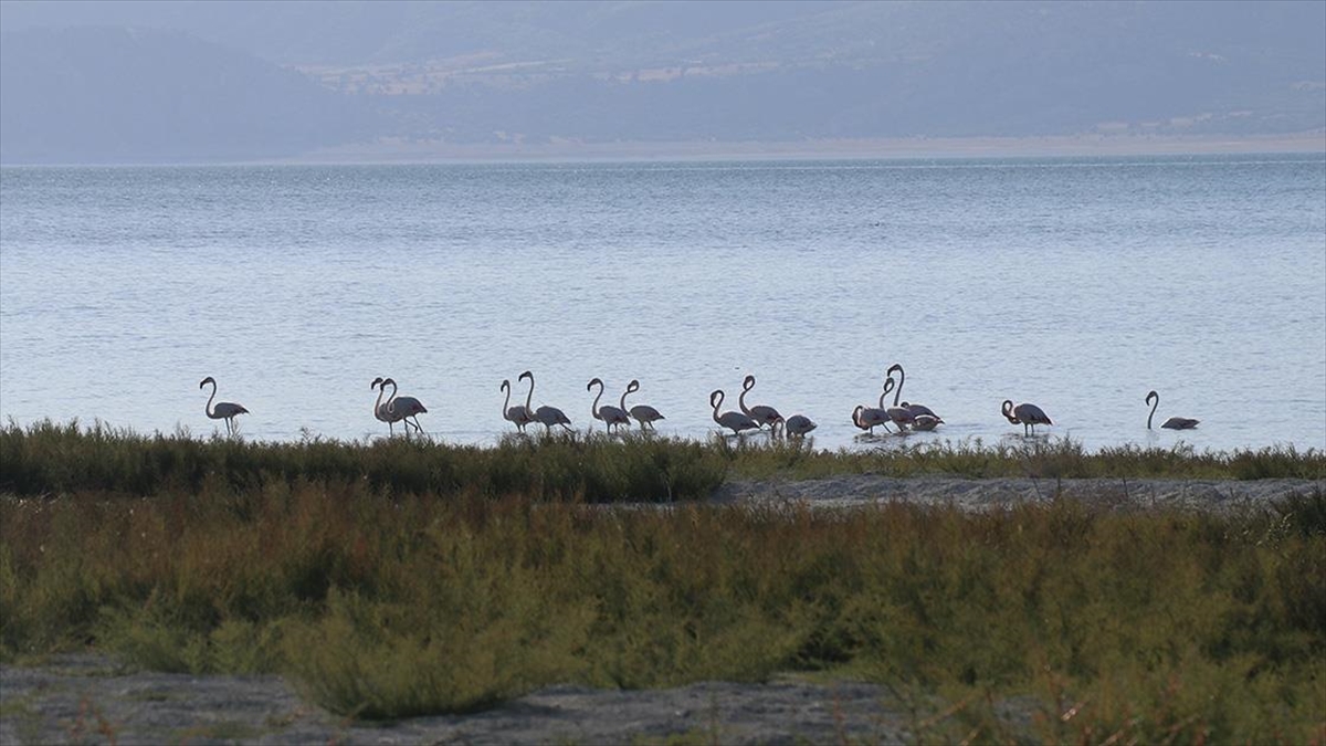 Türkiye'de göçmen kuşların uğrak noktalarından biri olan ve Ramsar Uluslararası