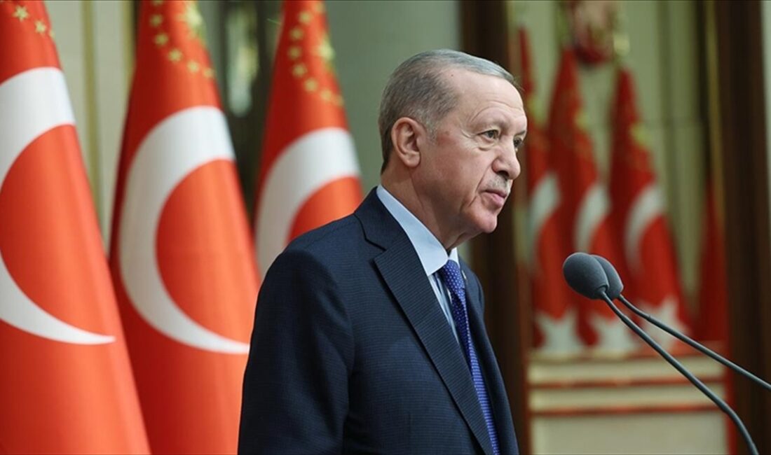 Cumhurbaşkanı Recep Tayyip Erdoğan, "Biz, gençlere asla arka bahçemiz olarak