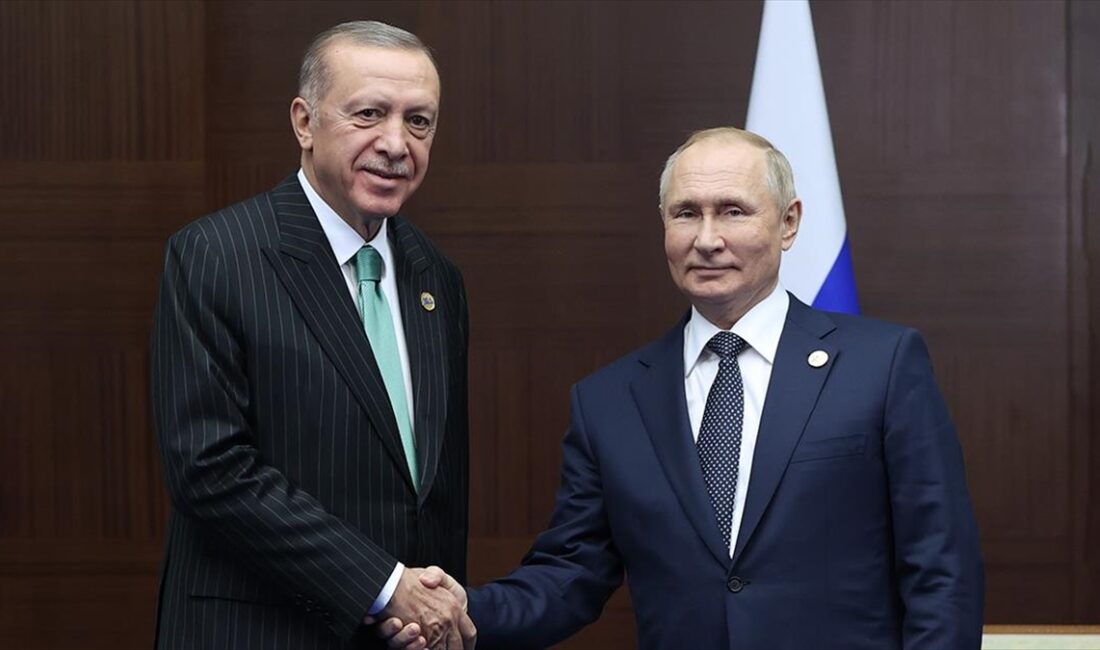 Cumhurbaşkanı Recep Tayyip Erdoğan, Rusya Federasyonu Devlet Başkanı Vladimir Putin
