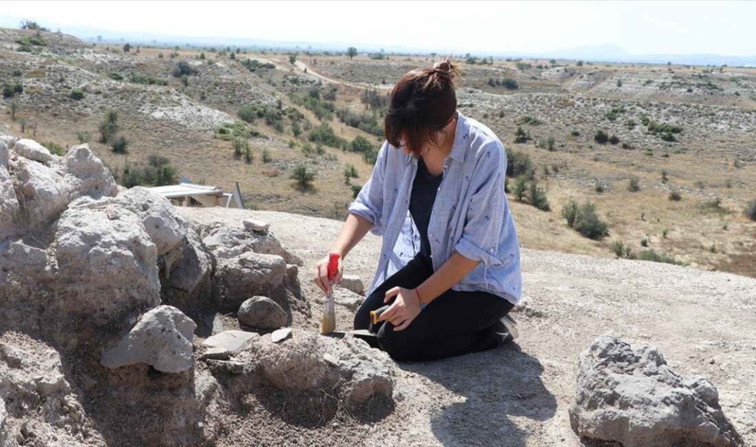 Denizli'nin Çal ilçesinde yer alan Aşağıseyit Höyüğü'ndeki kazılarda, 3 bin