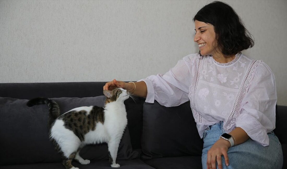 Diyarbakır'ın merkez Kayapınar ilçesinde yaşayan tarih öğretmeni Zeynep Olgun, sahiplendiği
