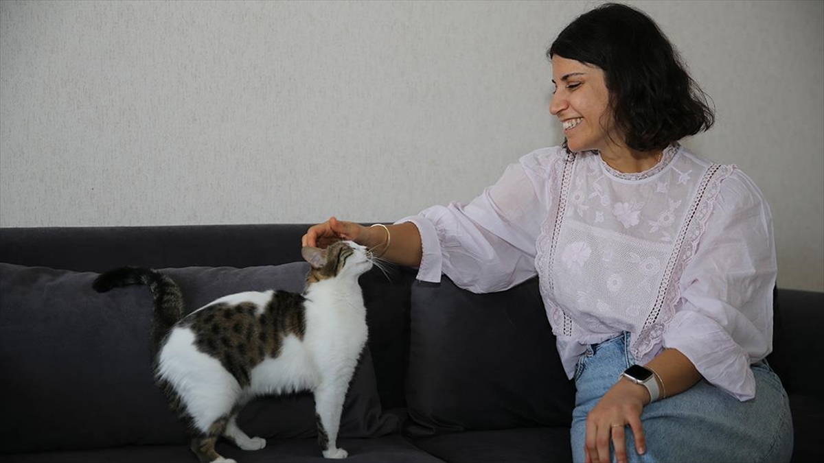 Diyarbakır'ın merkez Kayapınar ilçesinde yaşayan tarih öğretmeni Zeynep Olgun, sahiplendiği