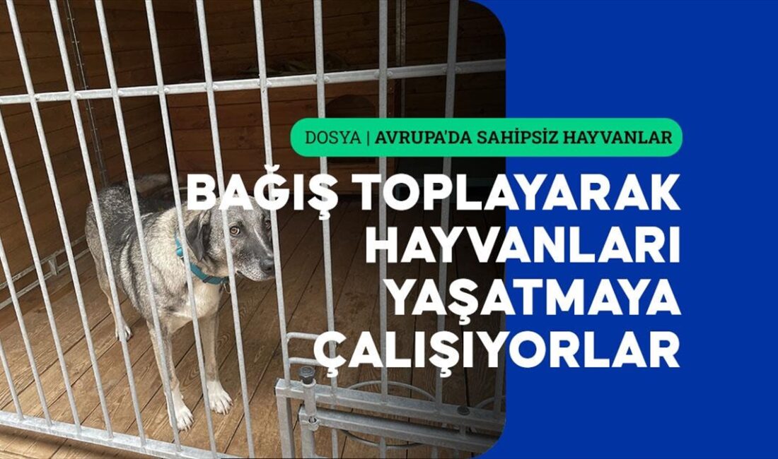 Avrupa'da yıllar içinde uygulamaya konulan yasal düzenlemeler ve sağlıklı işletilen