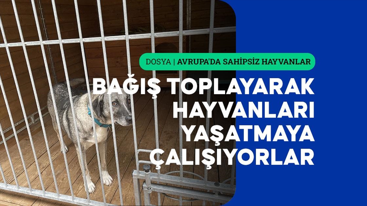 Avrupa'da yıllar içinde uygulamaya konulan yasal düzenlemeler ve sağlıklı işletilen