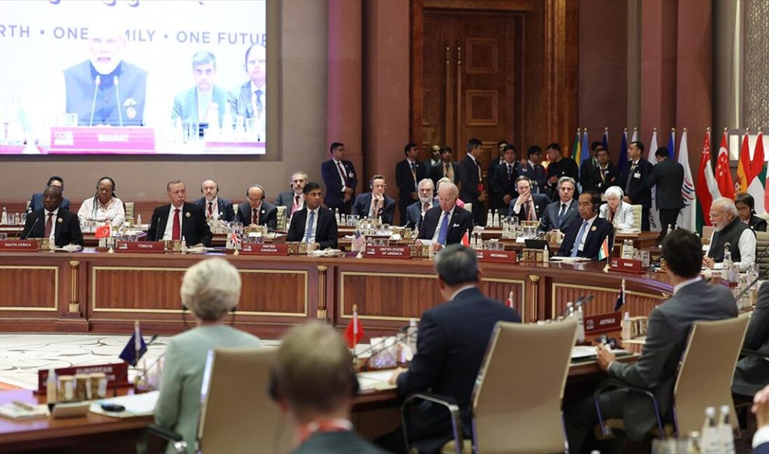 ANKARA (AA) – Hindistan’ın ev sahipliğinde 18’incisi “Tek Dünya, Tek