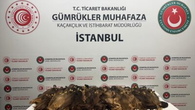 ANKARA (AA) – Bakanlıktan yapılan a&ccedil;ıklamaya g&ouml;re, G&uuml;mr&uuml;k Muhafaza ekipleri,