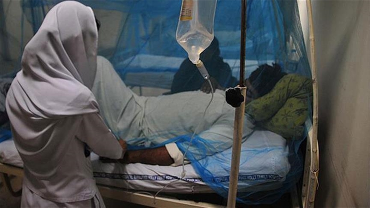 Hindistan'da Nipah virüsü kaynaklı viral enfeksiyondan ölüm oranının Kovid-19'a kıyasla