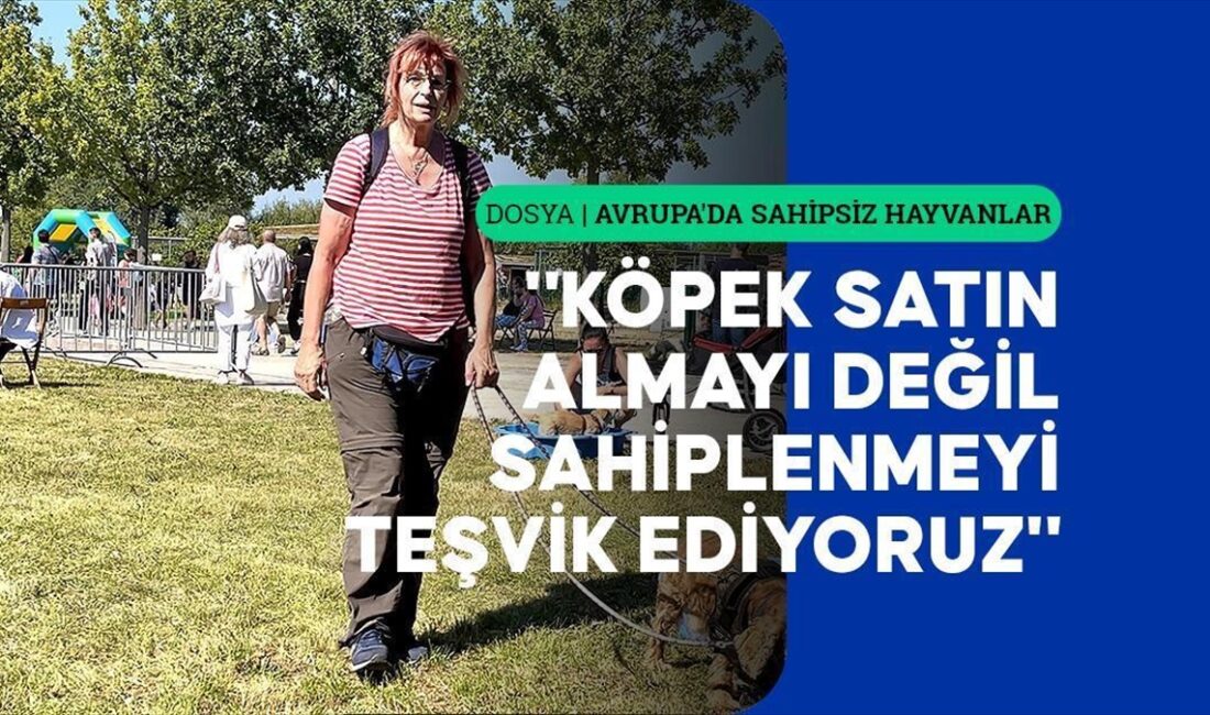 LONDRA (AA) – “Avrupa’da sahipsiz hayvanlar” başlıklı dosya haberin beşinci