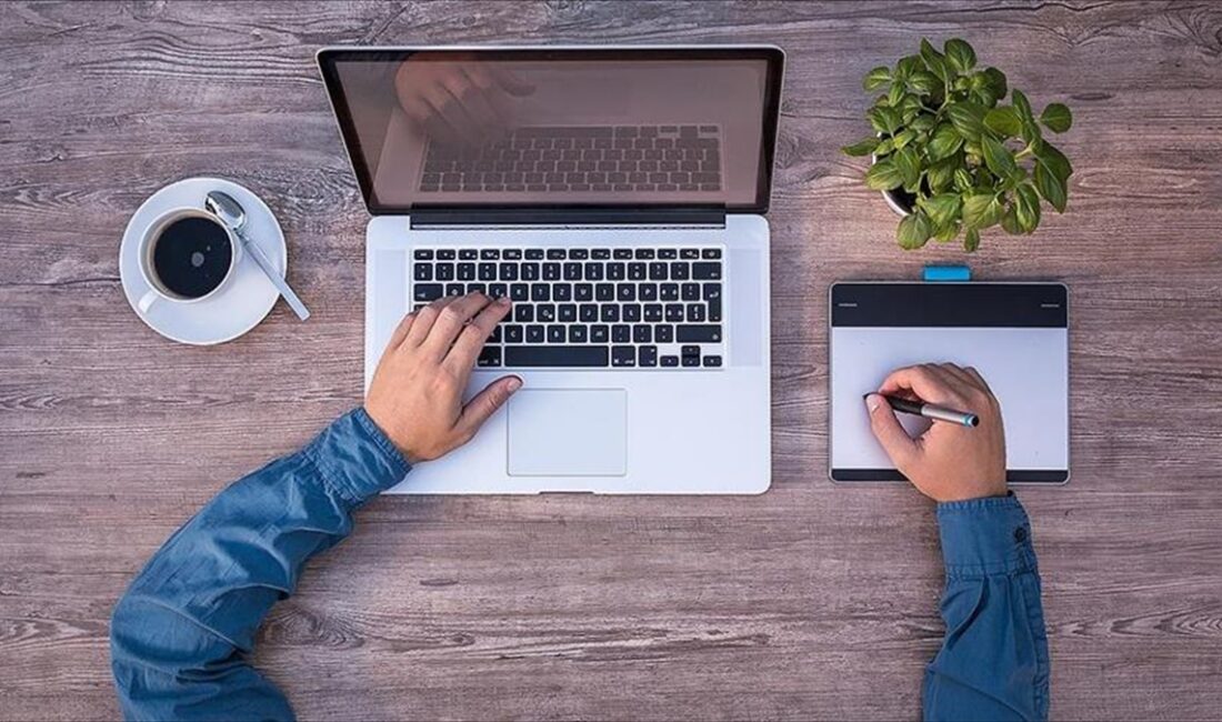 Türkiye'de 10 veya daha fazla çalışanı olan girişimlerin internet erişimine