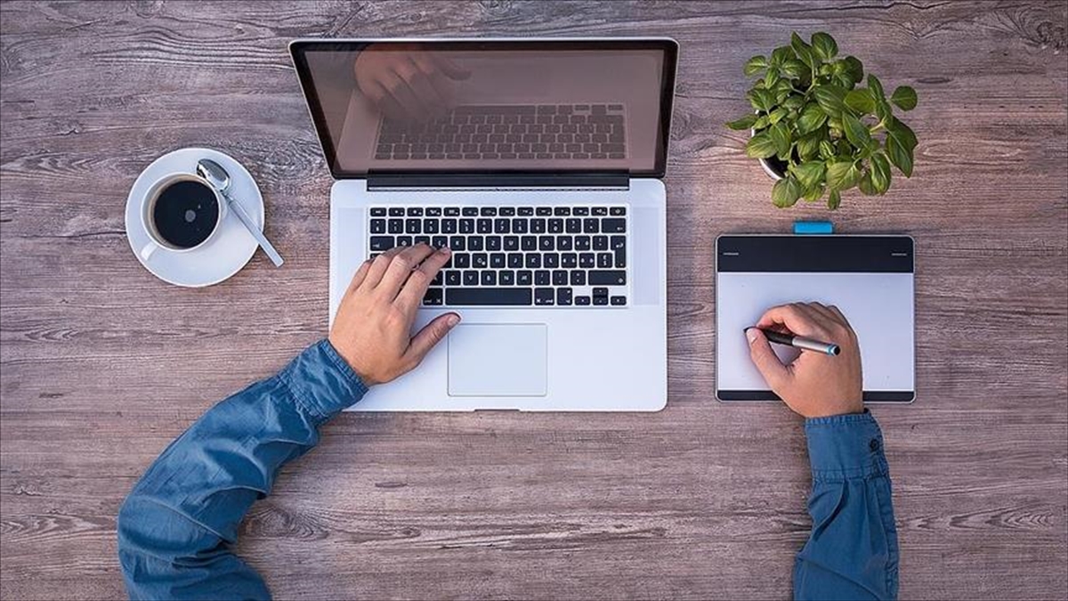 Türkiye'de 10 veya daha fazla çalışanı olan girişimlerin internet erişimine