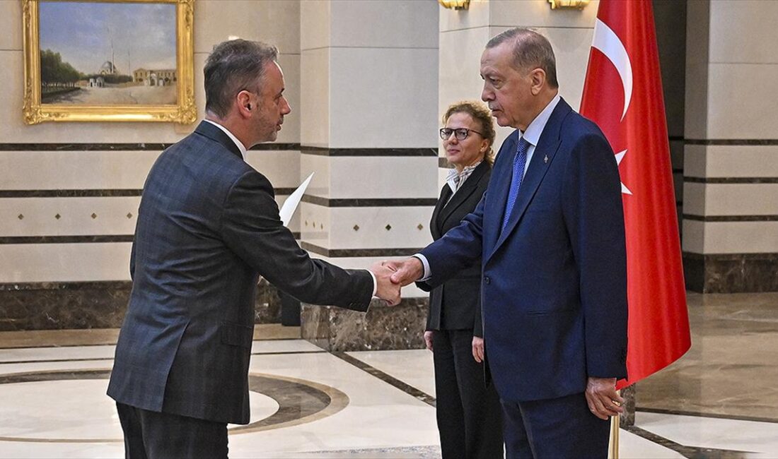 Cumhurbaşkanı Recep Tayyip Erdoğan, İrlanda'nın Ankara Büyükelçisi John Mccullagh'ı kabul