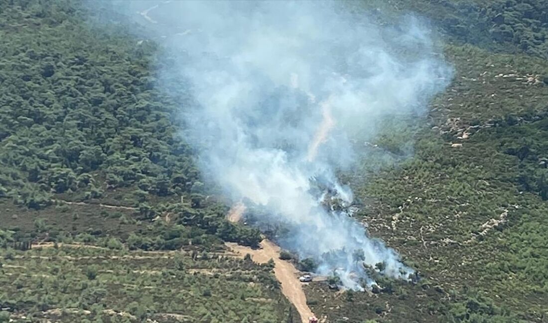İzmir'in Foça ilçesinde çıkan orman yangınına ekipler müdahale ediyor.