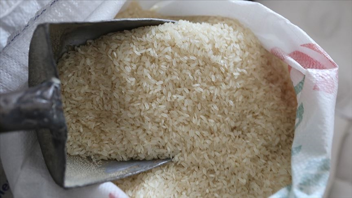 Birleşmiş Milletler Gıda ve Tarım Örgütü (FAO), küresel gıda fiyatlarının,