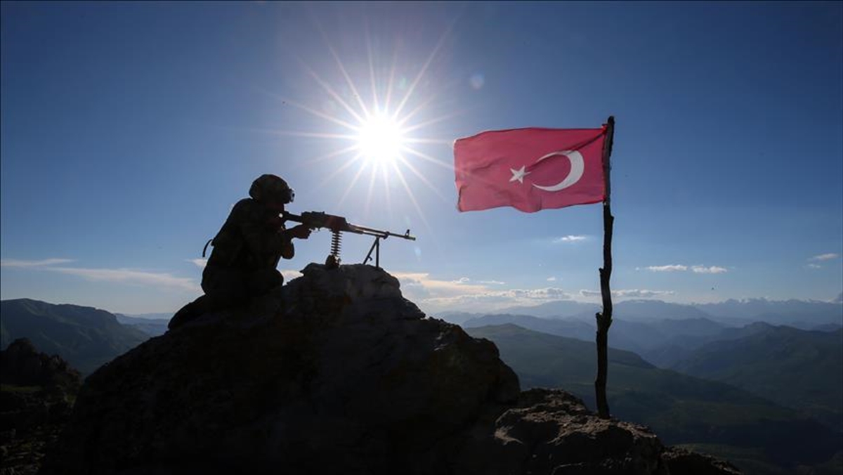 Mehmetçik, yıl başından bu yana sınırlardan yasa dışı yollarla geçmeye