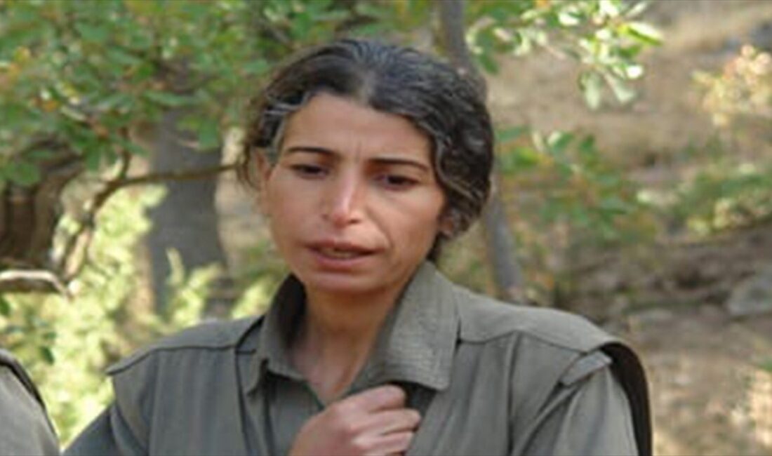 Milli İstihbarat Teşkilatı (MİT), terör örgütü PKK/YPG'nin para trafiğini yöneten