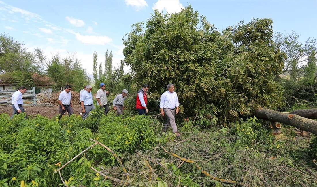 Muğla'nın Menteşe ilçesinde hafta sonu etkili olan dolu ve fırtınanın,