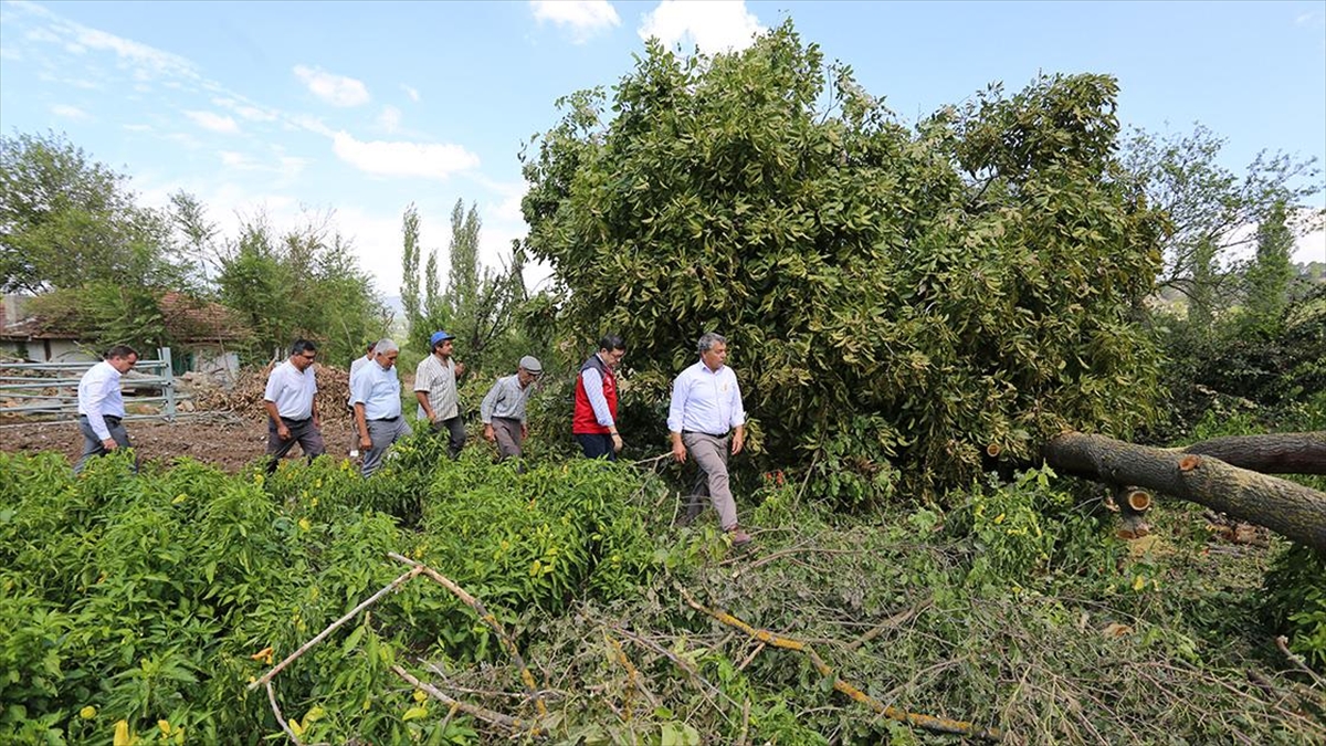 Muğla'nın Menteşe ilçesinde hafta sonu etkili olan dolu ve fırtınanın,