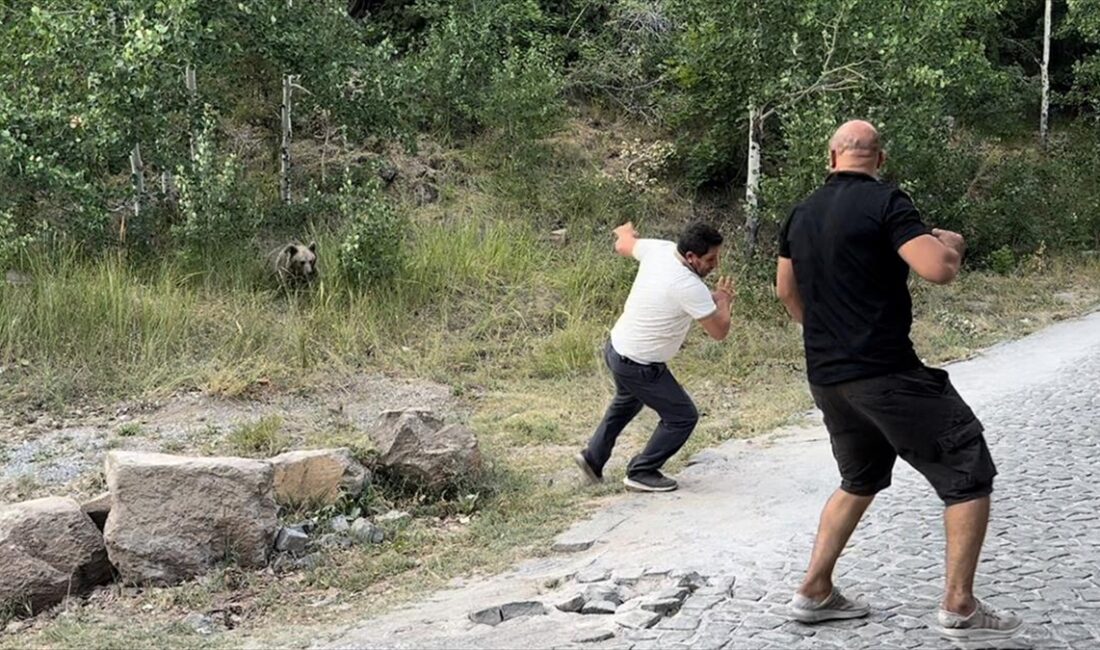 BITLIS (AA) – Avrupalı Seçkin Destinasyonlar Projesi kapsamında “Mükemmeliyet Ödülü”