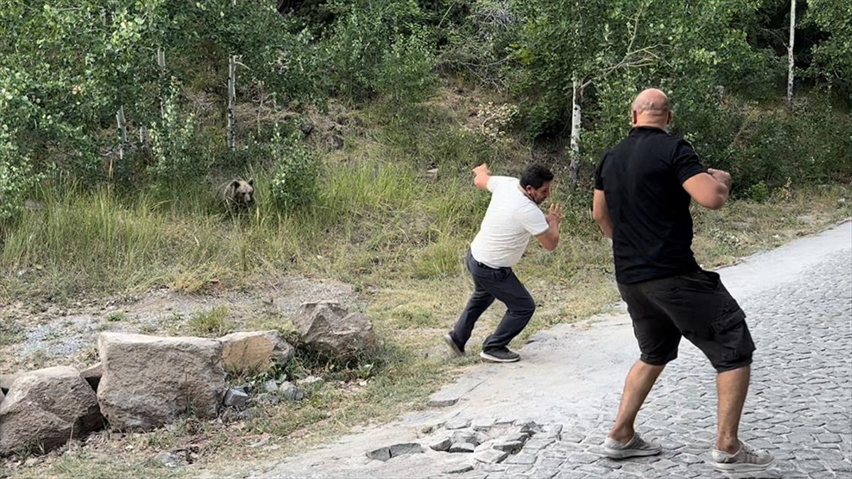 BITLIS (AA) – Avrupalı Seçkin Destinasyonlar Projesi kapsamında “Mükemmeliyet Ödülü”