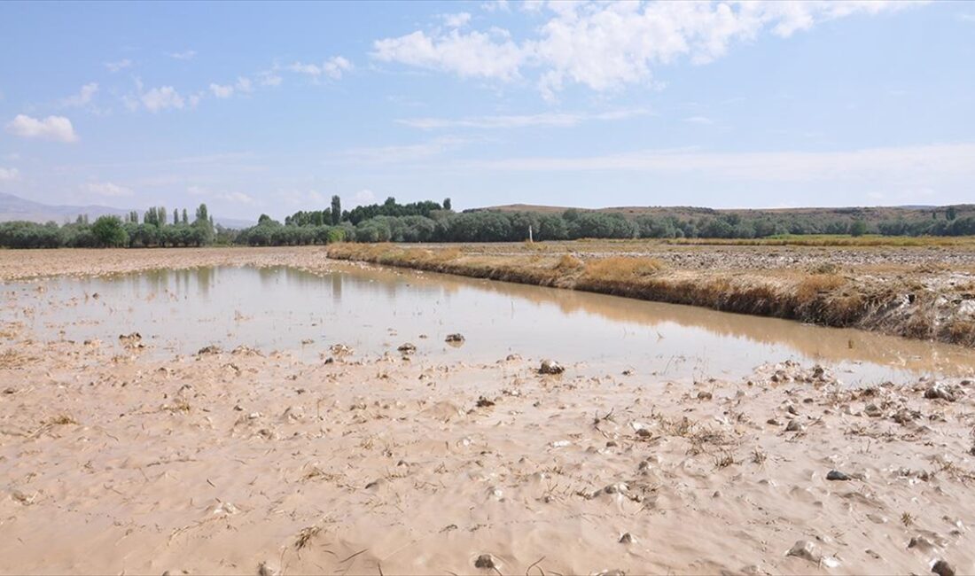 Nevşehir'in Gülşehir ilçesinde, şiddetli yağışın neden olduğu selin ardından, hasar