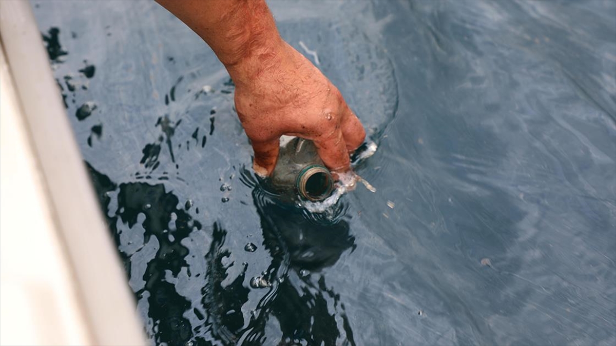 Karadeniz'de Rize'nin Çayeli ilçesi açıklarından alınan örnekler, petrol potansiyelinin belirlenmesi