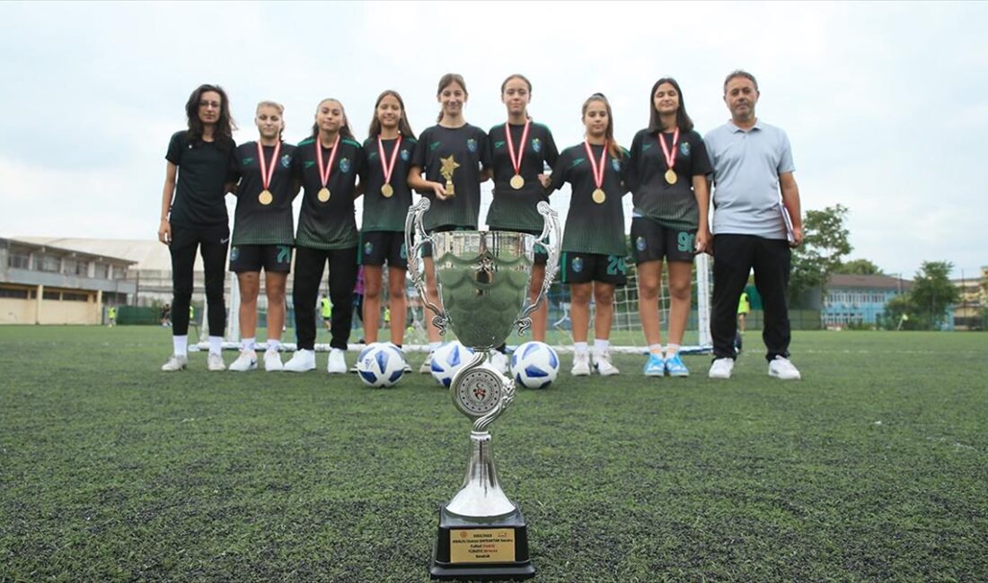 Anadolu Yıldızlar Ligi (ANALİG) Futbol Türkiye Birinciliği maçlarında şampiyonluğu kazanan