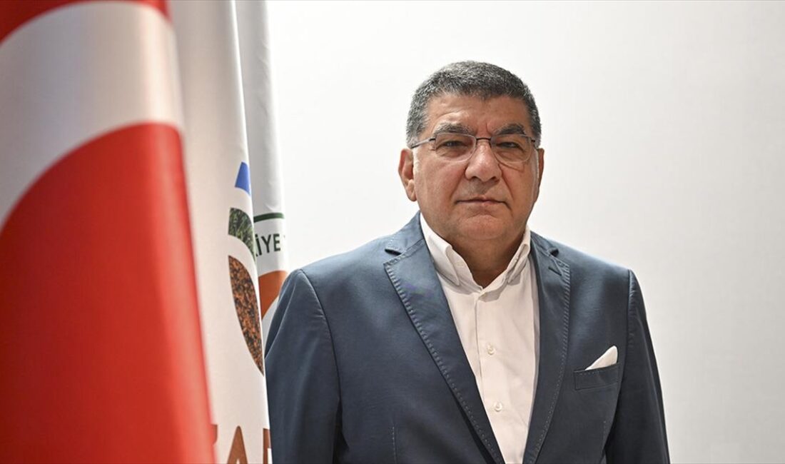 Tarım Kredi Holding Yönetim Kurulu Üyesi Mustafa Hamurcu, "Halka arza