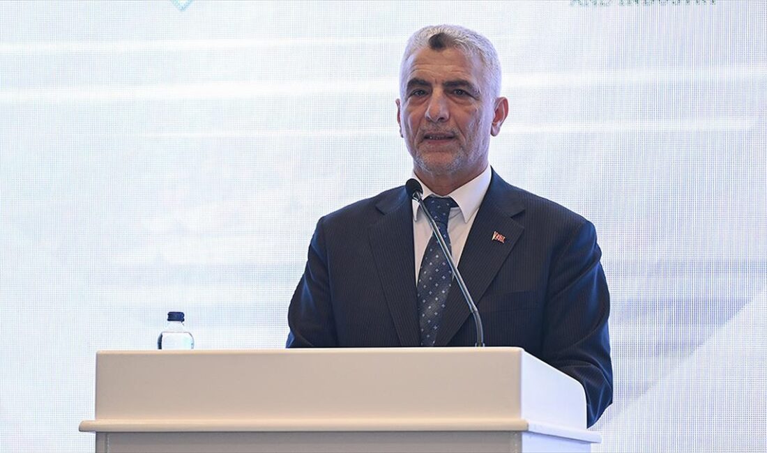 Ticaret Bakanı Ömer Bolat, Türk Devletleri Teşkilatı'nın (TDT) yeni konjonktürde
