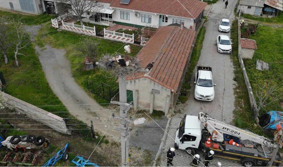 Trakya'da hayata geçirilen proje kapsamında elektrik direklerine, leylek ve turnaların