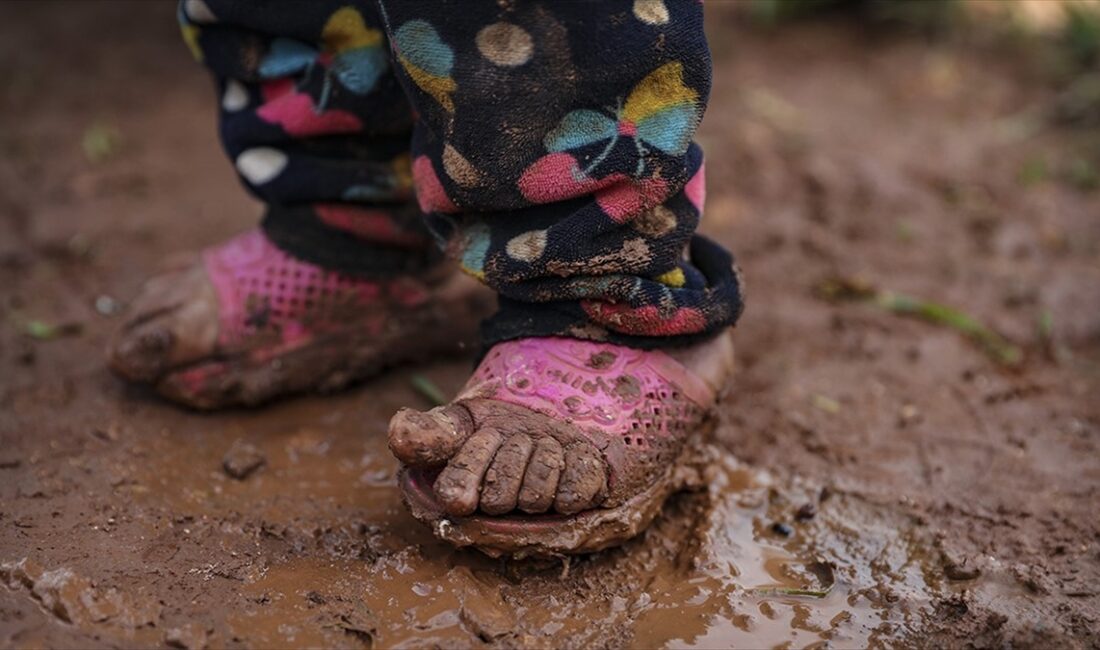 Birleşmiş Milletler (BM) Çocuklara Yardım Fonu (UNICEF), dünyadaki çocuk nüfusunun