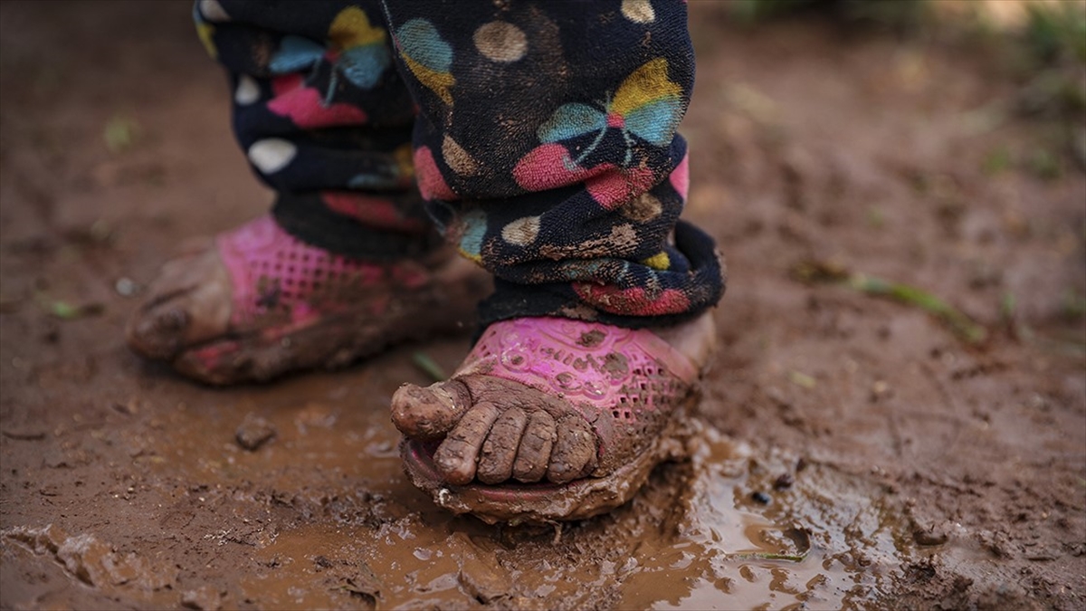 Birleşmiş Milletler (BM) Çocuklara Yardım Fonu (UNICEF), dünyadaki çocuk nüfusunun
