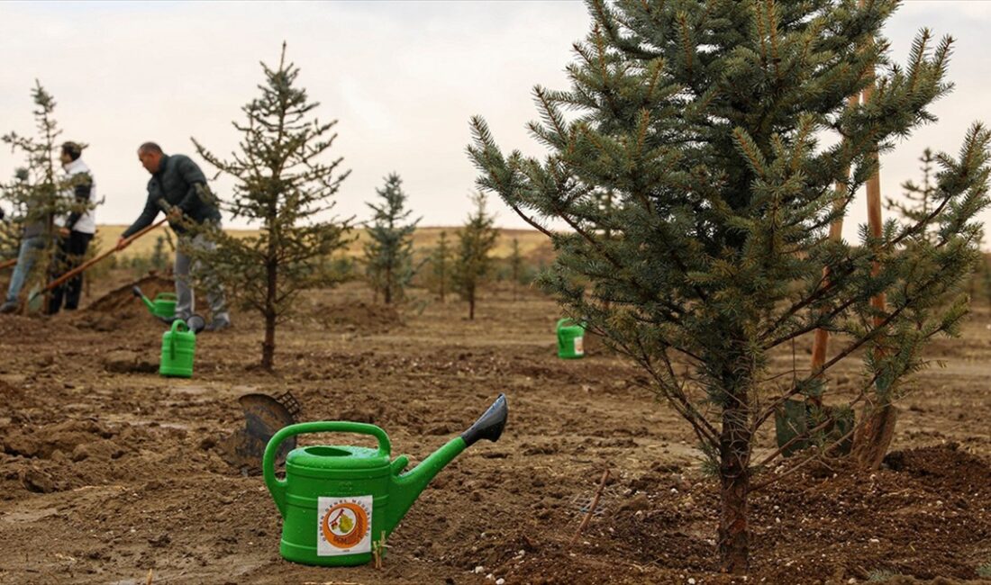 ANKARA (AA) – Tarım ve Orman Bakanı İbrahim Yumaklı, 11