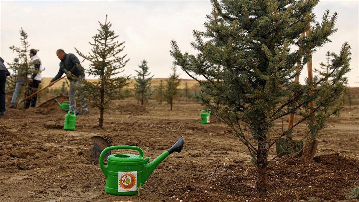 ANKARA (AA) – Tarım ve Orman Bakanı İbrahim Yumaklı, 11