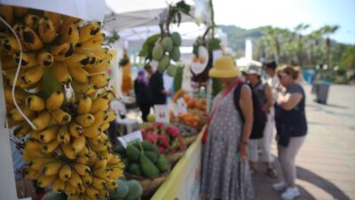 ANTALYA (AA) – Antalya'nın Alanya ilçesinde düzenlenen "Avokado ve Mango"