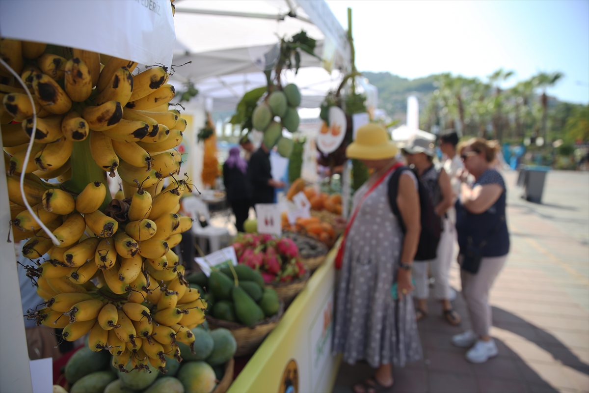 2. Alanya Tropikal Meyve Festivali başladı