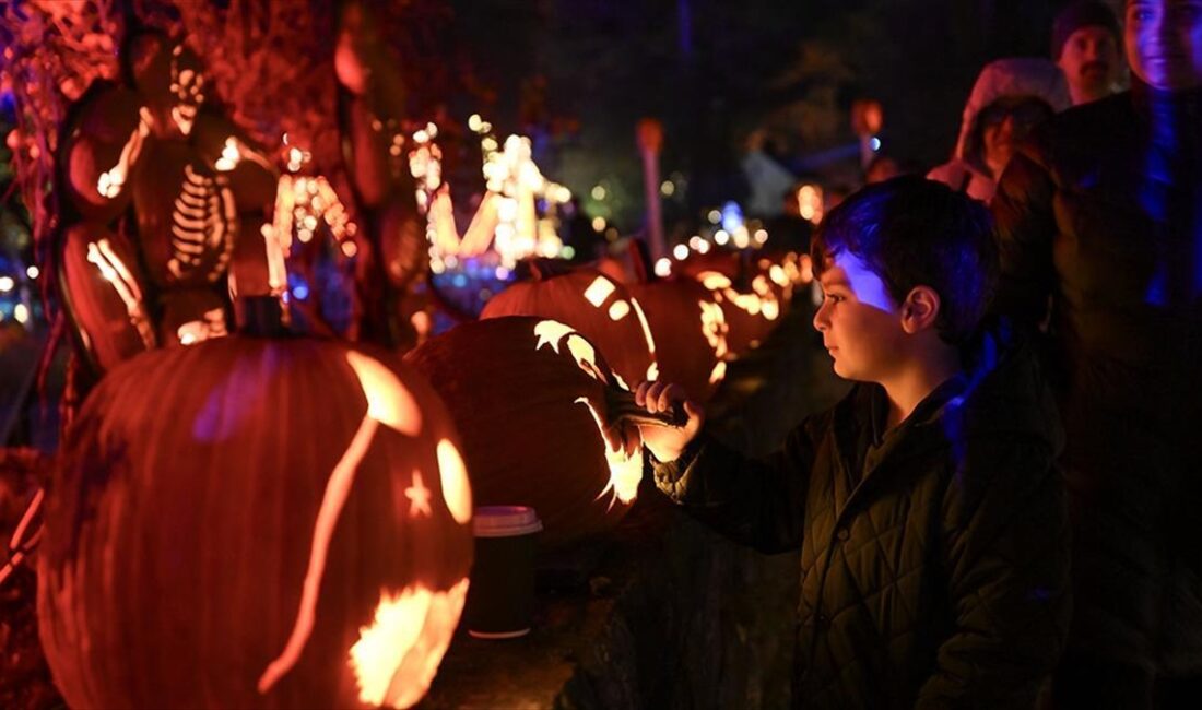 ABD'de Cadılar Bayramı (Halloween) dolayısıyla yapılacak harcamaların, yüksek fiyatlar ve