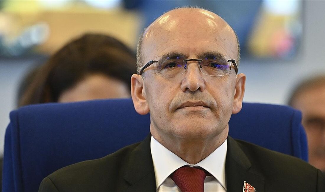Hazine ve Maliye Bakanı Mehmet Şimşek, "Önümüzdeki dönemde para, maliye