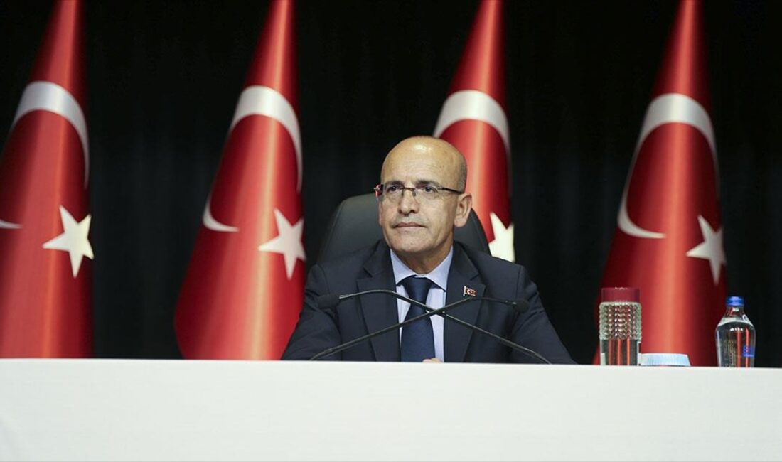 Hazine ve Maliye Bakanı Mehmet Şimşek, TCMB'nın sadeleştirme adımlarının daha